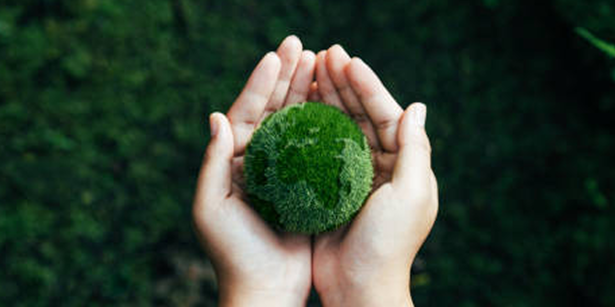 Karbon Ayak İzi Standardı